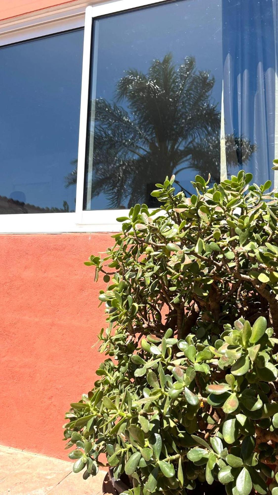 Apartamento Leyda En マルベーリャ エクステリア 写真